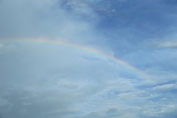 Naklejka premium 青空と虹の背景素材