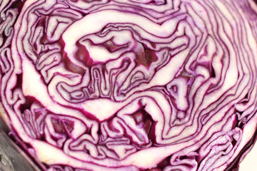 Obraz premium background with red cabbage. macro. texture cutaway