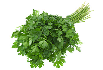 Parsley vegetable herb on white