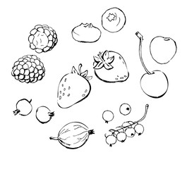 Obraz premium Berries doodles outline