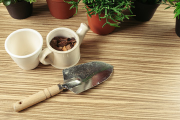 composition of garden tools
