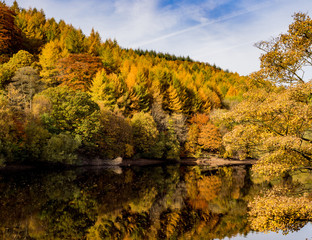 Autumn colours on Fermilee Reservoir, The Goyt Valley, Peak District, UK
