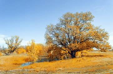 Bright sunny autumn landscape