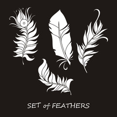 Vector Ornate Set of Stylized and Silhouette Abstract Feathers.