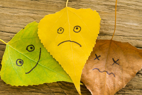 Green, yellow and brown leaves with a picture of happy and sad faces on the old wooden background with cracks