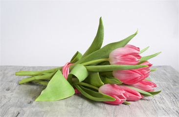 Pink tulip, grey wooden background