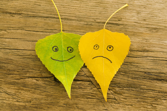 Green and  yellow  leaves with a picture of happy and sad faces on the old wooden background with cracks