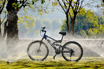 Fototapeta premium bicycle in the middle of a garden while watering it