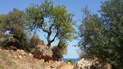 Sicily view