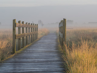Holzbrücke im Frühnebel