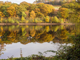Autumn colours on Fermilee Reservoir, The Goyt Valley, Peak District, UK