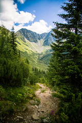 Fototapeta na wymiar A beautiful Tatry mountain landscape
