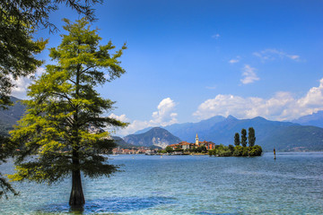 A view with a tree and an island in Italy