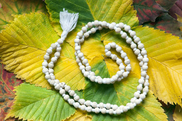 White mala rosary on the autumn leaves. Mantra. One hundred and eight beads.