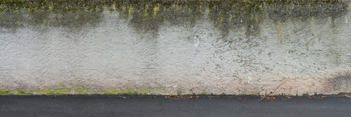 Panorama Hintergrund aus Mauer mit hellem Rauputz mit Algen und Boden aus schwarzem Asphalt - Panoramic background of wall with light rough plaster with algae and ground made of  black asphalt
