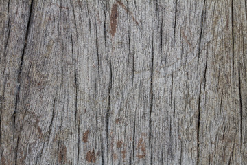 Old wood texture