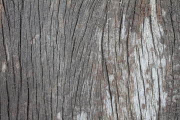 Obraz premium Old wood texture
