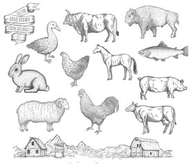 Farm collection vector.
