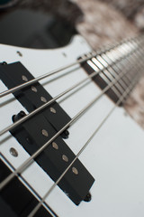 electric bass pickups