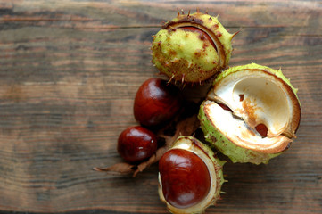 Several ripe chestnuts on a wooden background.