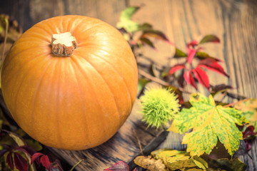 Thanksgiving with local farm harvest