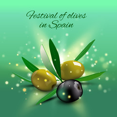 Green and black olives with leaves. Vector illustration