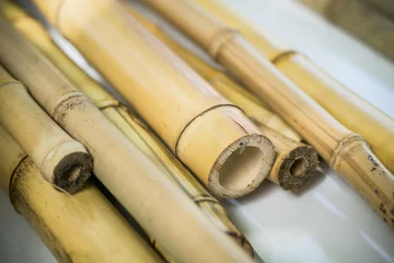 Crédence de cuisine en verre imprimé Bambou Bamboo