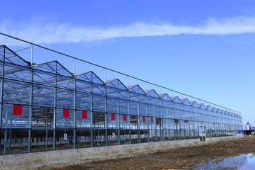 Steel structure buildings