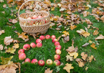 Fototapeta na wymiar apples in heart shape and autumn leaves on grass