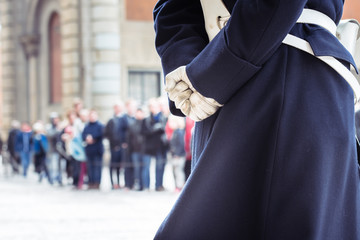 
 Save
Download Preview
Close up of a Swedish Royal Guard's hands and costume with the people attending the change of guard in the background