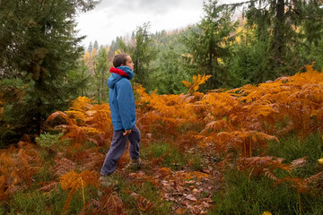 Fototapeta premium Active lifestyle contributes to well-being.