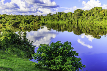 Palumeu in Surinam