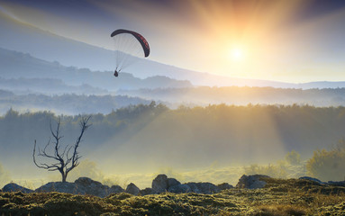 Silhouette of flying paraglide