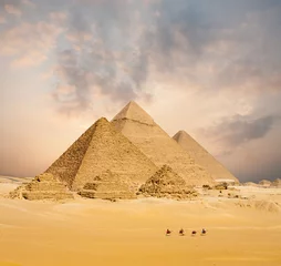 Fotobehang Zonsondergang Alle Egyptische Piramides Kamelen Verre Breed © Pius Lee