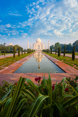 Distant Taj Mahal Reflection Fountain Flowers
