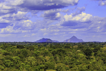 Potihill in Surinam