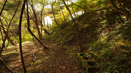めがね橋へ登る途中