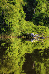 On our way through Surinam