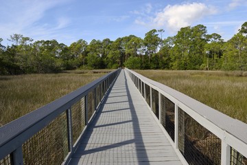 Fototapeta na wymiar Boardwalk over the marshland of Florida