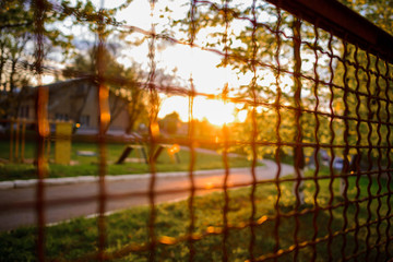 fence with metal grid in perspective
