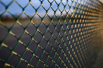 fence with metal grid in perspective