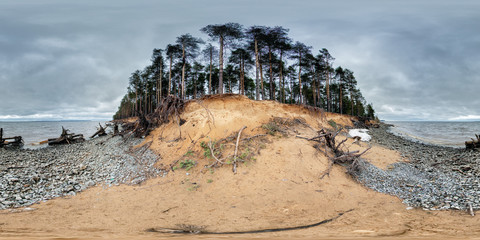 360 degree spherical panorama from Russia, View on Rybinsk Reservoir storm. Mysterious island and grim landscape picture with sand coast, lake, pines and fallen trees, roots, stumps.