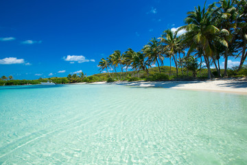 sea