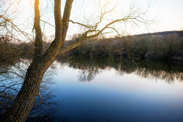 a small pond near the bare autumn trees