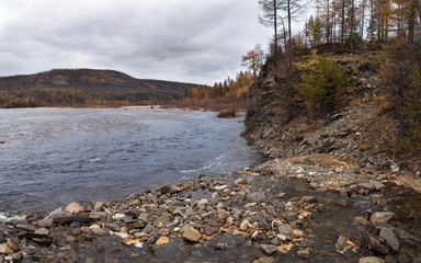 gloomy autumn landscape