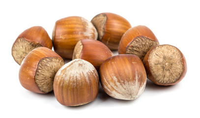 hazelnuts on a white background.
