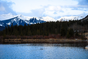 冬のカナディアン・ロッキー　朝のバーミリオン・レイク