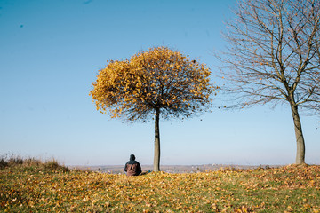man meditates under autumn tree