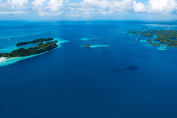 The Whale Island - Palau