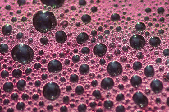 Fototapeta Bubbles the wort red wine during fermentation